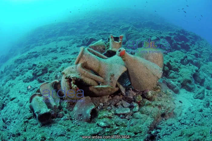 : Etruscan Amphora in a protected archaeological : Etruscan Amphora in a protected archaeological
