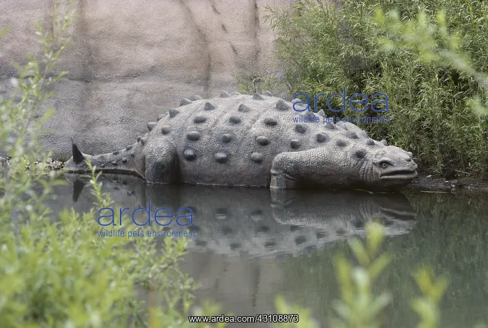 : Euoplocephalus : Euoplocephalus