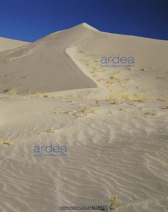 : Eureka Dunes, California : Eureka Dunes, California