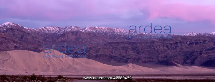 : Eureka dunes - evening : Eureka dunes - evening