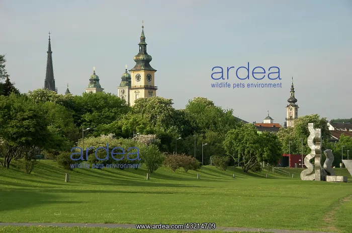 : Europe, Austria, Linz Stadt, Linz, park : Europe, Austria, Linz Stadt, Linz, park