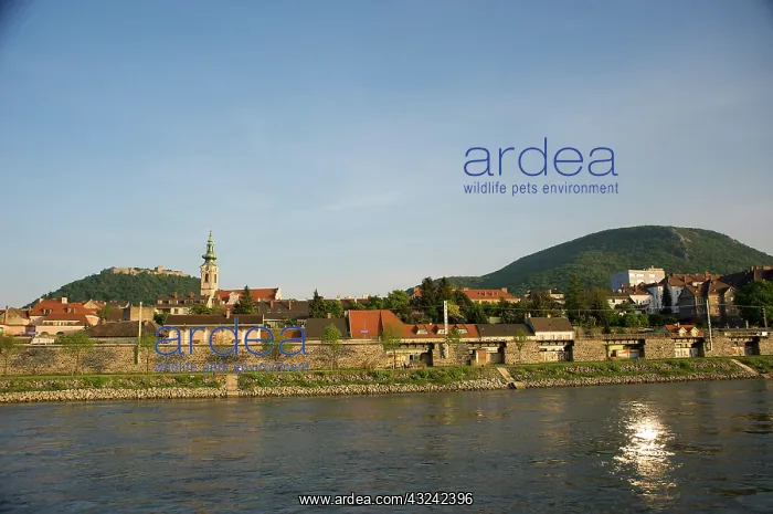 : Europe, Austria, town along Danube River : Europe, Austria, town along Danube River