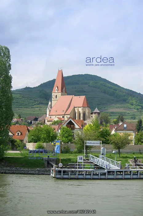 : Europe, Austria, Upper Austria, Vocklabruck : Europe, Austria, Upper Austria, Vocklabruck