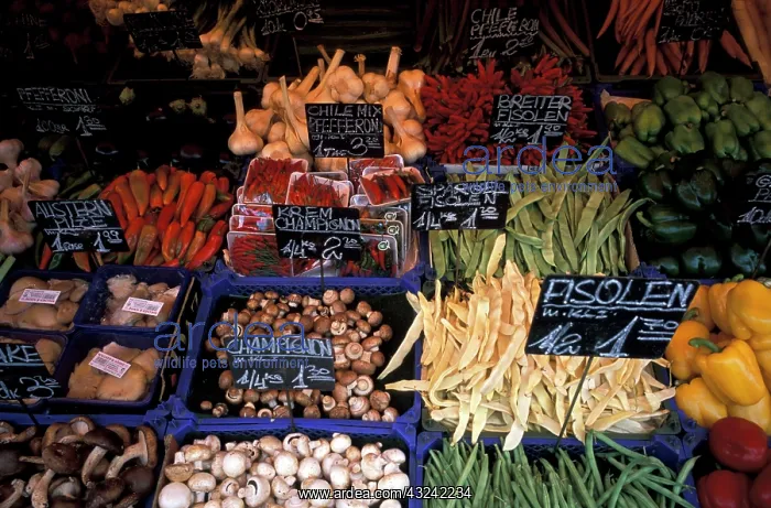 : Europe, Austria, Vienna. Naschmarkt (outdoor : Europe, Austria, Vienna. Naschmarkt (outdoor