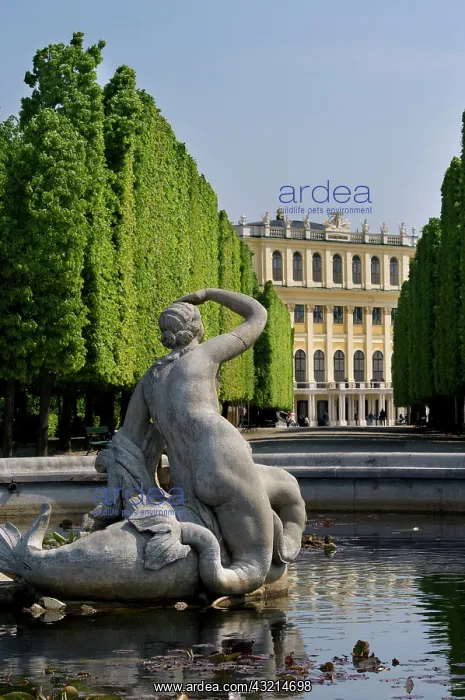 : Europe, Austria, Vienna, Schonbrunn Palace : Europe, Austria, Vienna, Schonbrunn Palace