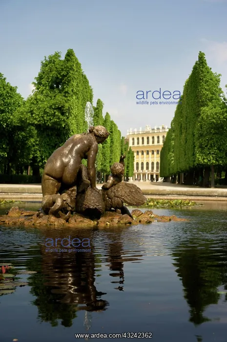 : Europe, Austria, Vienna, Schonbrunn Palace : Europe, Austria, Vienna, Schonbrunn Palace