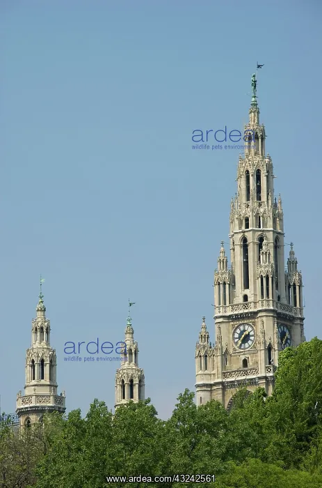 : Europe, Austria, Vienna, spires of Rathaus : Europe, Austria, Vienna, spires of Rathaus