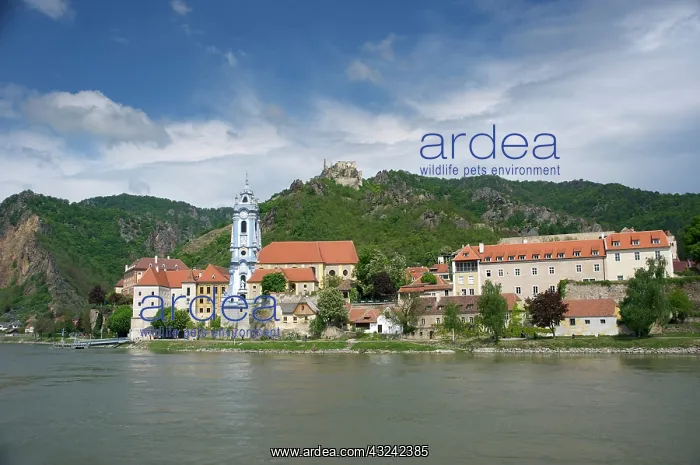: Europe, Austria, Wachau Valley, Lower Austria : Europe, Austria, Wachau Valley, Lower Austria