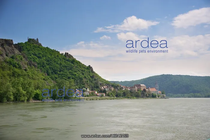  : Europe, Austria, Wachau Valley, Lower Austria