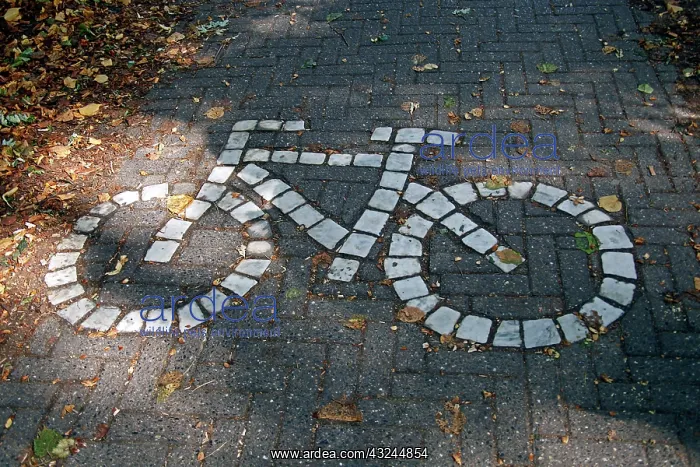 : Europe, Belgium, Bruges. Bicycle Path of : Europe, Belgium, Bruges. Bicycle Path of