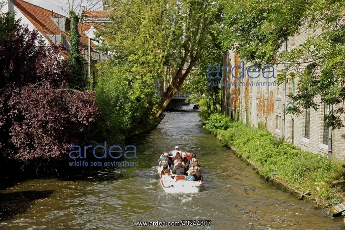 : Europe, Belgium, Bruges. Canal cruise of : Europe, Belgium, Bruges. Canal cruise of