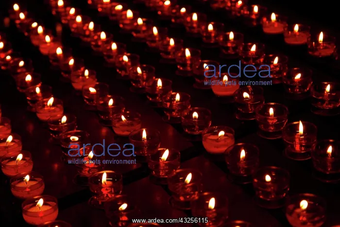 : Europe, Belgium, Bruges. Candles in the : Europe, Belgium, Bruges. Candles in the