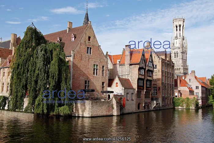 : Europe, Belgium, Bruges. Scenic Rozenhoedkaai : Europe, Belgium, Bruges. Scenic Rozenhoedkaai