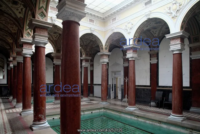 : Europe, Czech Republic, Marianske Lazne : Europe, Czech Republic, Marianske Lazne