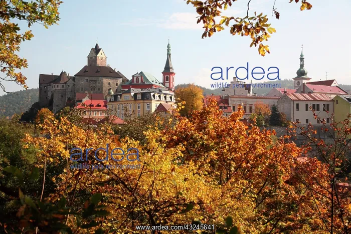 : Europe, Czech Republic, West Bohemia, city : Europe, Czech Republic, West Bohemia, city