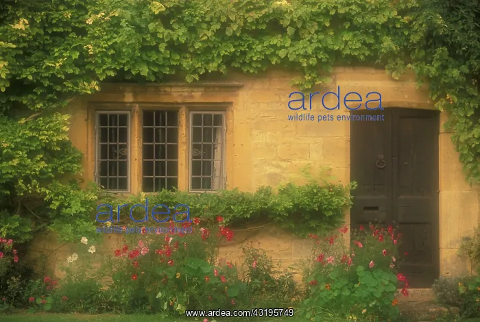 : Europe, England, Gloucestershire, The Cotswolds : Europe, England, Gloucestershire, The Cotswolds