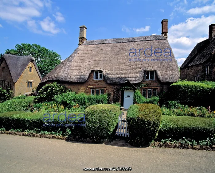 : Europe, England, Great Tew. The village of Great : Europe, England, Great Tew. The village of Great