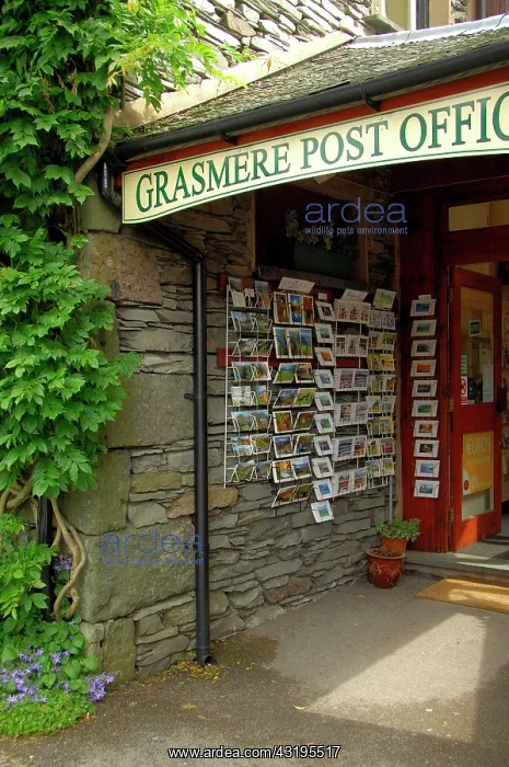 : Europe, England, Lake District, Cumbria, Grasmere : Europe, England, Lake District, Cumbria, Grasmere