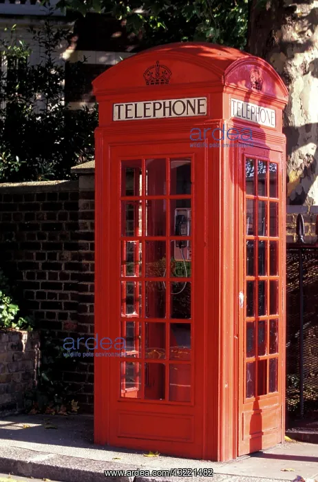  : Europe, England, London, Westminster. Red