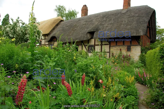  : Europe, England, Midlands, Warwickshire, Stratford-upon-Avon