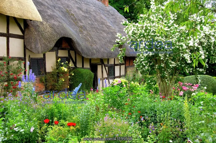 : Europe, England, Midlands, Warwickshire, Stratford-upon-Avon : Europe, England, Midlands, Warwickshire, Stratford-upon-Avon