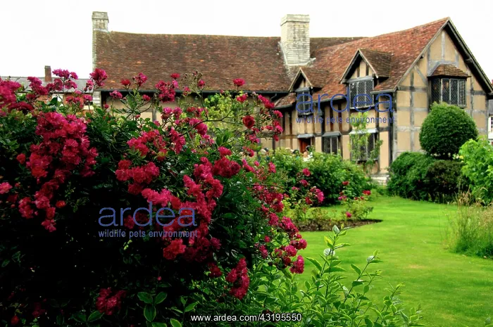 : Europe, England, Midlands, Warwickshire, Stratford-upon-Avon : Europe, England, Midlands, Warwickshire, Stratford-upon-Avon