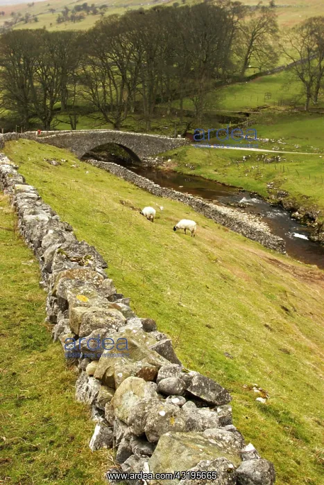 : Europe, England, Yorkshire, stone bridge in Yorkshire : Europe, England, Yorkshire, stone bridge in Yorkshire