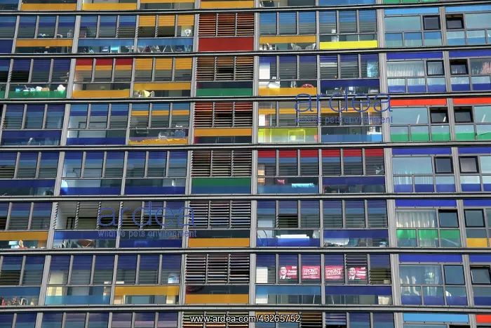: Europe, France, Lille. Colorful windows : Europe, France, Lille. Colorful windows
