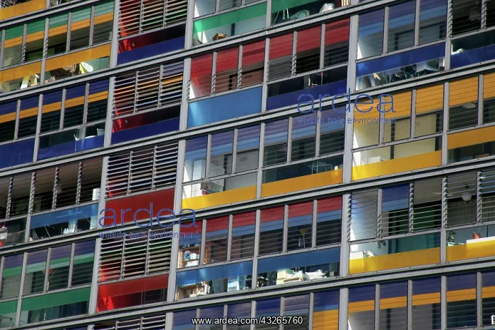 : Europe, France, Lille. Colorful windows : Europe, France, Lille. Colorful windows