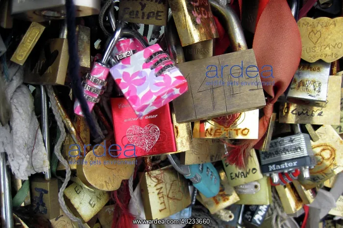 : Europe, France, Paris. Love-locks on the : Europe, France, Paris. Love-locks on the