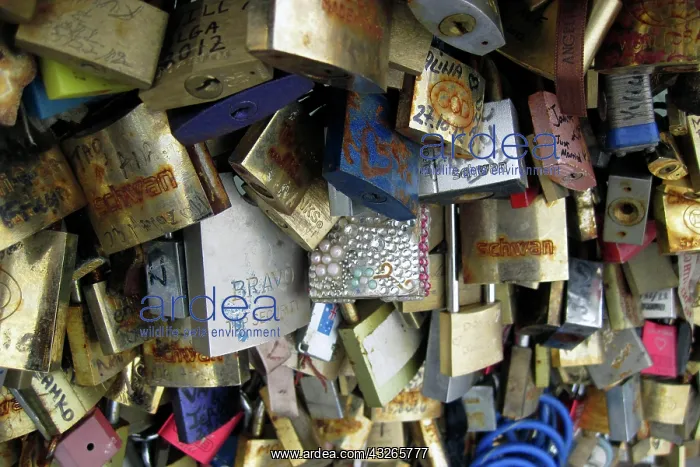 : Europe, France, Paris. Love-locks on the : Europe, France, Paris. Love-locks on the
