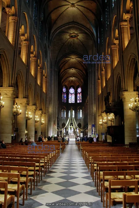 : Europe, France, Paris. Notre-Dame Cathedral