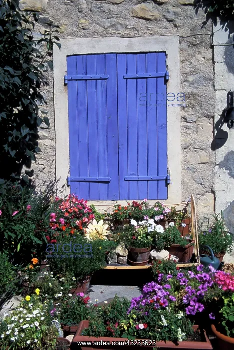 : Europe, France, Provence, Aix-en-Provence : Europe, France, Provence, Aix-en-Provence