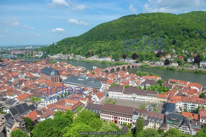 : Europe, Germany, Baden-Wurttemberg, Heidelberg : Europe, Germany, Baden-Wurttemberg, Heidelberg