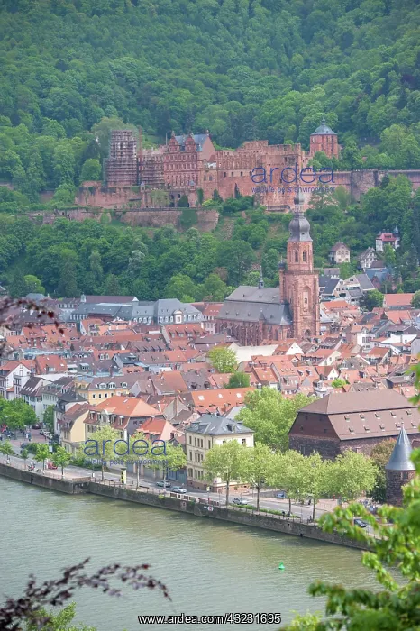 : Europe, Germany, Baden-Wurttemberg, Heidelberg : Europe, Germany, Baden-Wurttemberg, Heidelberg
