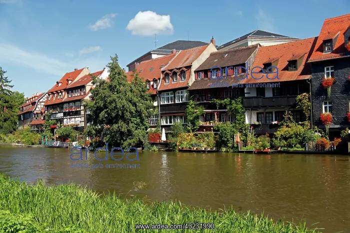 : Europe, Germany, Bamberg : Europe, Germany, Bamberg