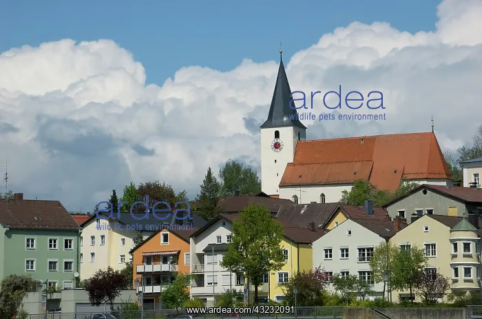 : Europe, Germany, Bavaria, Passau, houses : Europe, Germany, Bavaria, Passau, houses