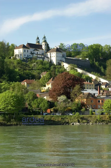 : Europe, Germany, Bavaria, Passau, Pilgrimage : Europe, Germany, Bavaria, Passau, Pilgrimage