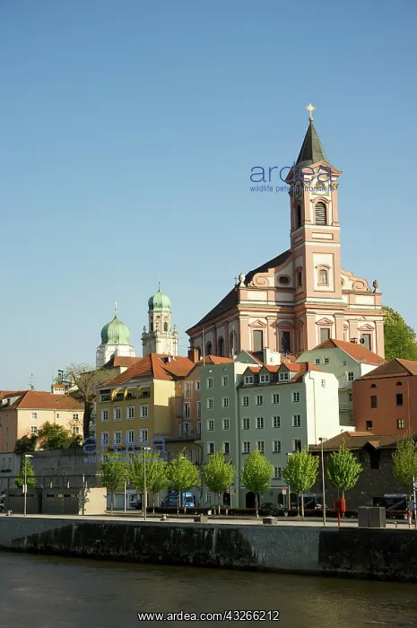 : Europe, Germany, Bavaria, Passau, St. Paul's : Europe, Germany, Bavaria, Passau, St. Paul's