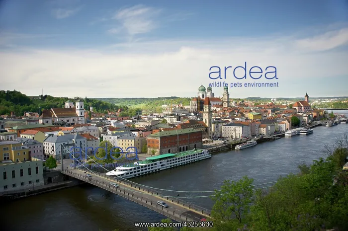 : Europe, Germany, Bavaria, Passau, view from : Europe, Germany, Bavaria, Passau, view from