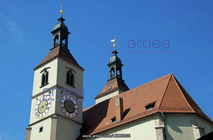 : Europe, Germany, Bavaria, Regensburg, clock : Europe, Germany, Bavaria, Regensburg, clock