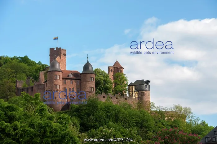 : Europe, Germany, Bayern, Bavaria, Wertheim : Europe, Germany, Bayern, Bavaria, Wertheim