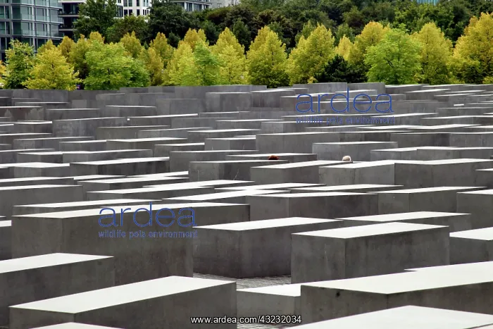 : Europe, Germany, Berlin. Memorial to the : Europe, Germany, Berlin. Memorial to the