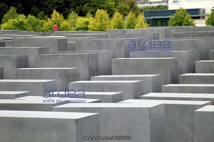 : Europe, Germany, Berlin. Memorial to the : Europe, Germany, Berlin. Memorial to the