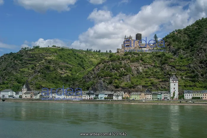 : Europe, Germany, Rhine River, St. Goar : Europe, Germany, Rhine River, St. Goar