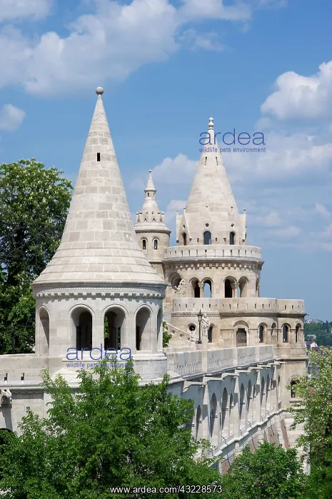: Europe, Hungary, Budapest, Buda, Castle : Europe, Hungary, Budapest, Buda, Castle