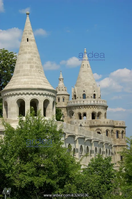 : Europe, Hungary, Budapest, Buda, Castle : Europe, Hungary, Budapest, Buda, Castle