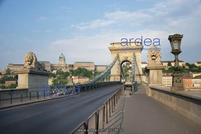 : Europe, Hungary, Budapest, lion statues : Europe, Hungary, Budapest, lion statues