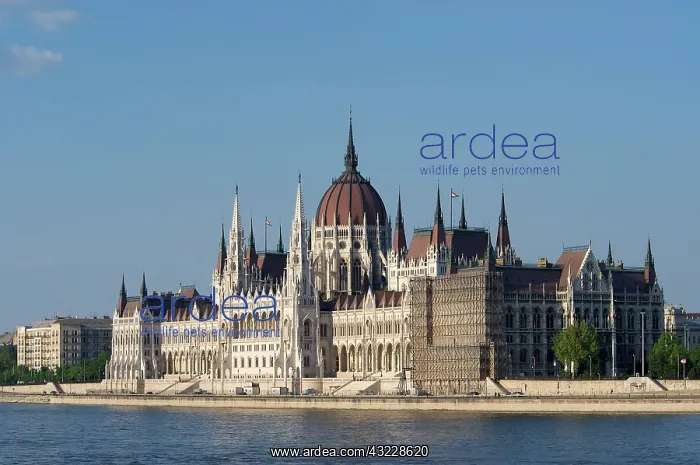 : Europe, Hungary, Budapest, Pest, Parliament : Europe, Hungary, Budapest, Pest, Parliament