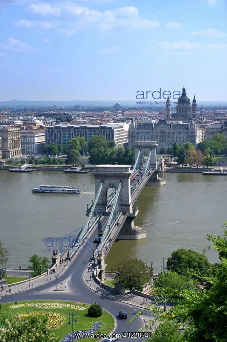 : Europe, Hungary, Budapest, Szechenyi Lanchid : Europe, Hungary, Budapest, Szechenyi Lanchid